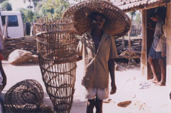 gonds tribe